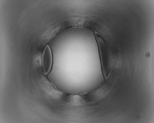 X0000111820287200907231325