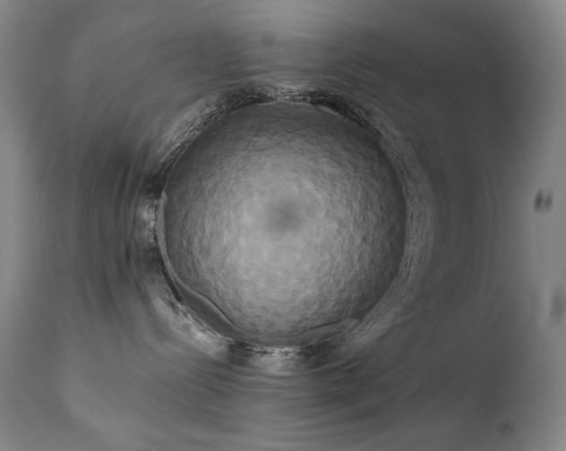 X0000111820288200907231325