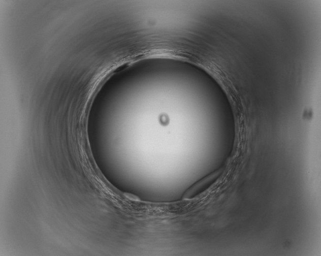 X0000111820289200907231325