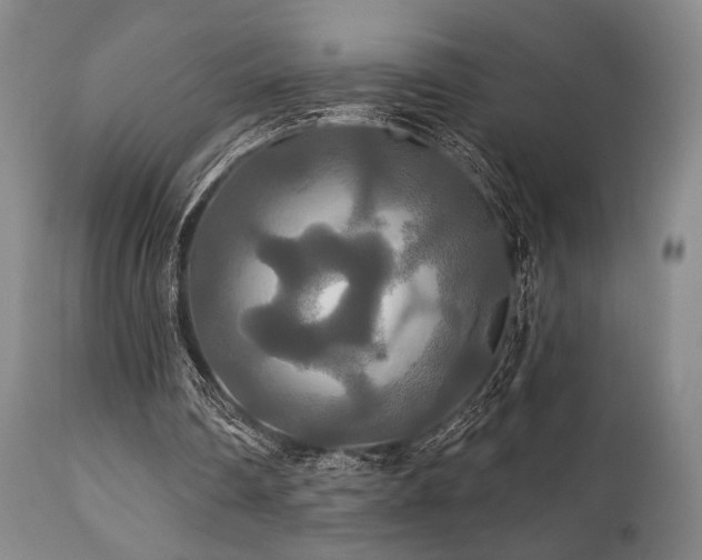 X0000111820290200907231325