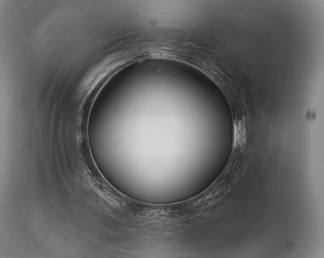X0000111820291200907231325