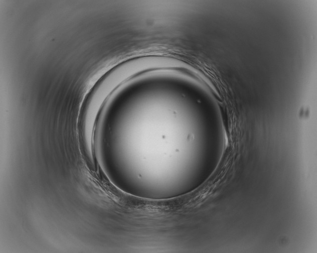 X0000111820292200907231325