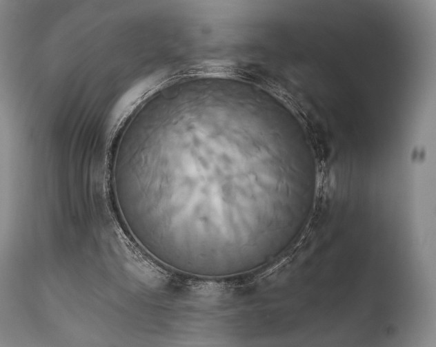X0000111820293200907231325