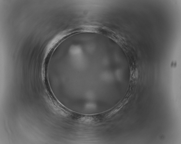 X0000111820294200907231325