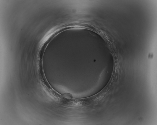 X0000111820295200907231324