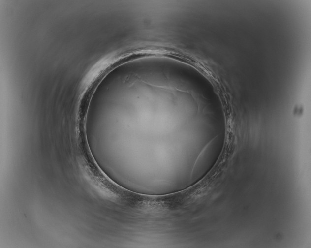 X0000111820296200907231324