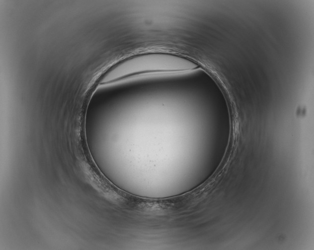 X0000111820297200907231324