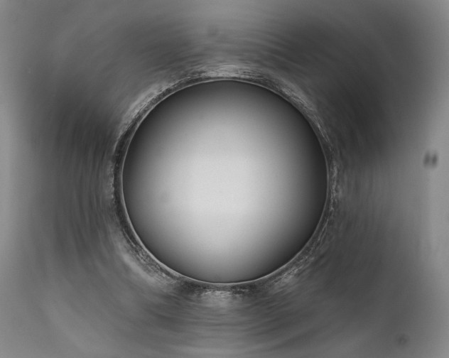 X0000111820298200907231324