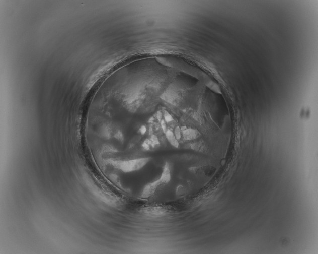 X0000111820299200907231324