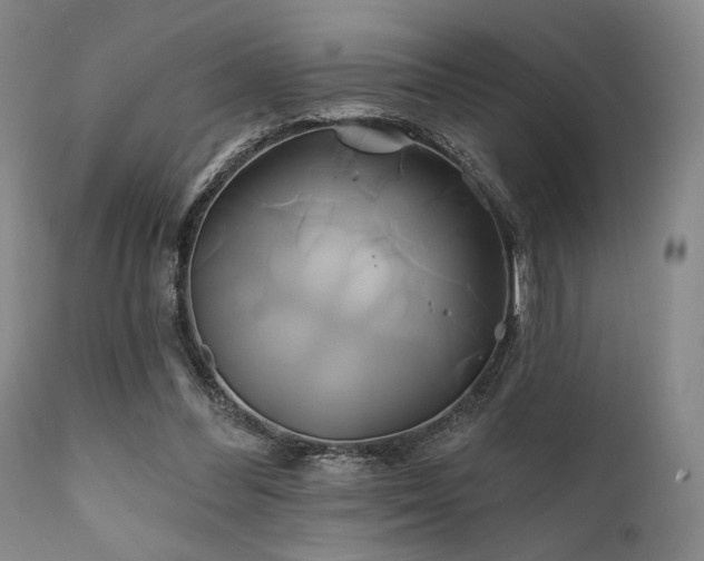 X0000111820300200907231324