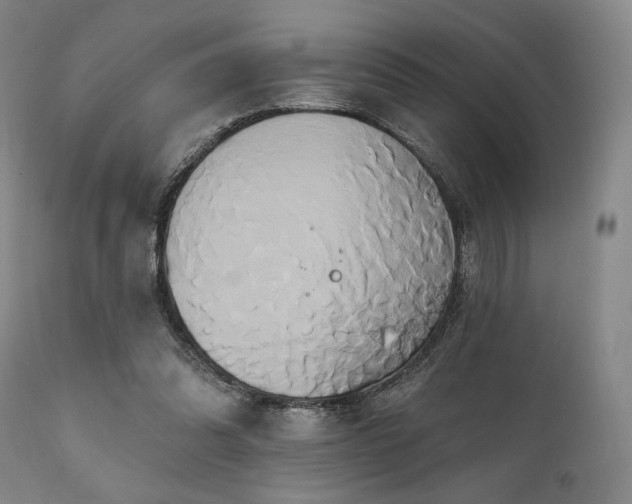 X0000111820302200907231324