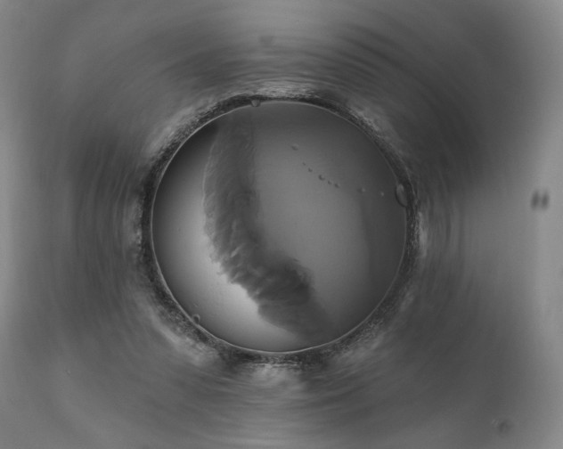 X0000111820303200907231324