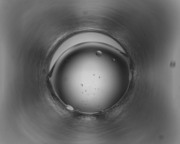 X0000111820304200907231324