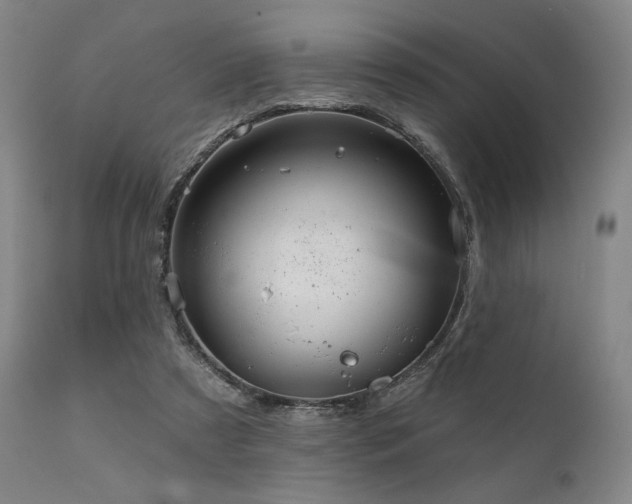 X0000111820305200907231324