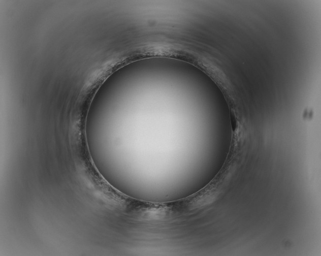 X0000111820306200907231324