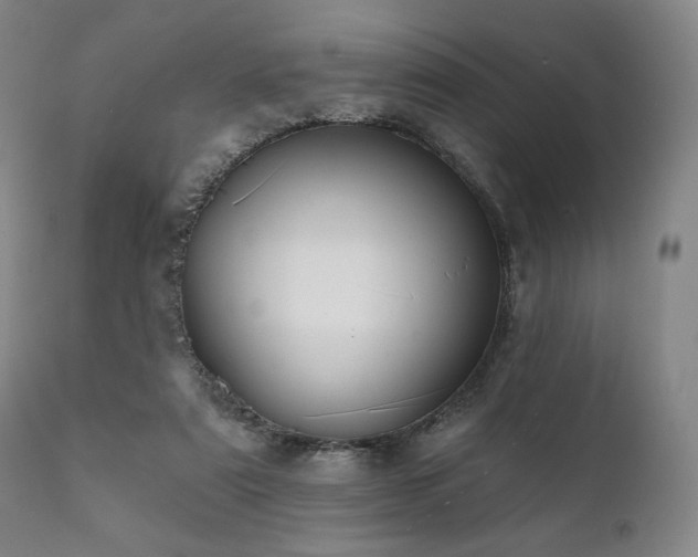 X0000111820307200907231324