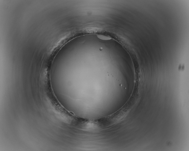 X0000111820308200907231324