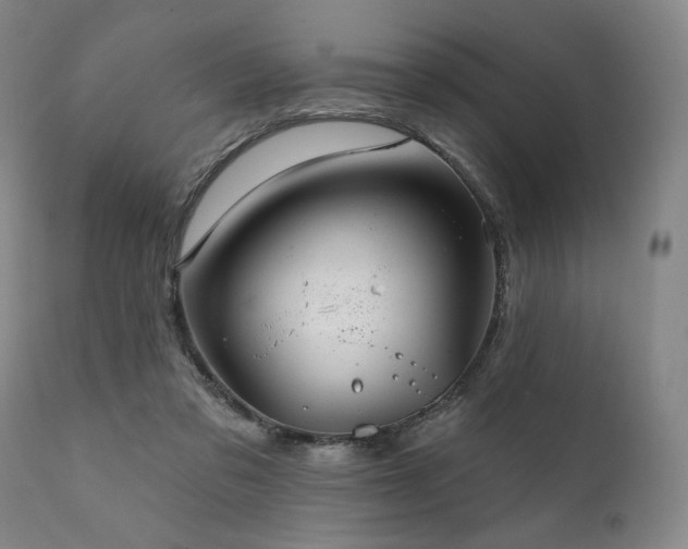 X0000111820309200907231324