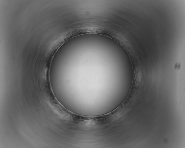 X0000111820310200907231324