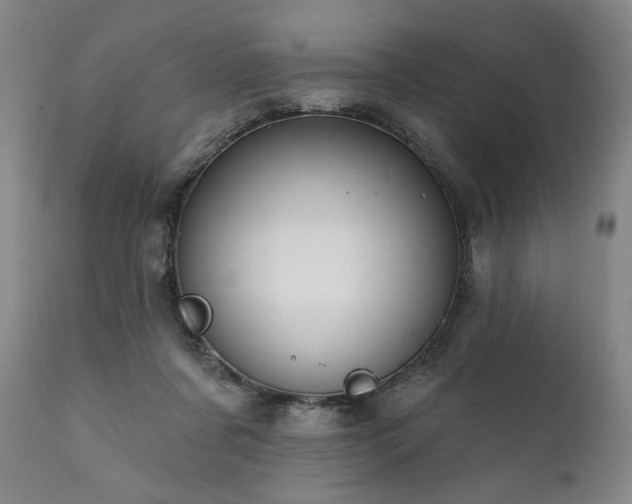 X0000111820311200907231324