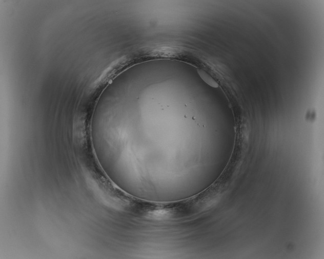 X0000111820312200907231324