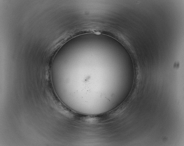X0000111820313200907231324
