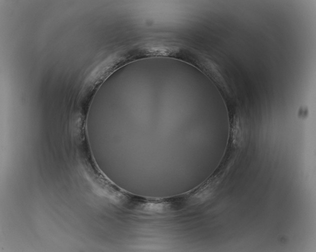 X0000111820314200907231324