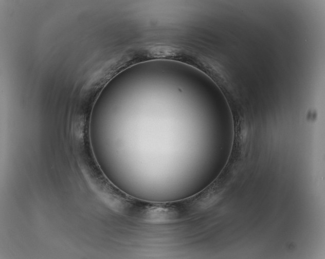 X0000111820315200907231324