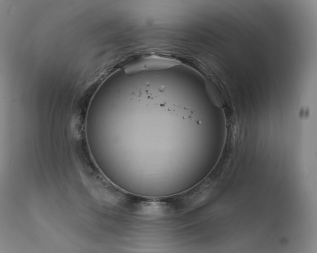 X0000111820316200907231324