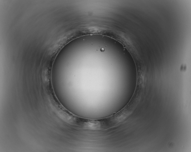 X0000111820317200907231324