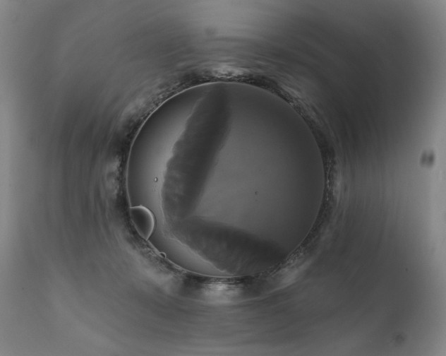 X0000111820319200907231324