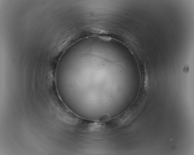 X0000111820320200907231324