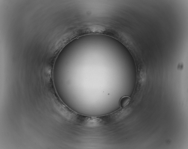 X0000111820321200907231324