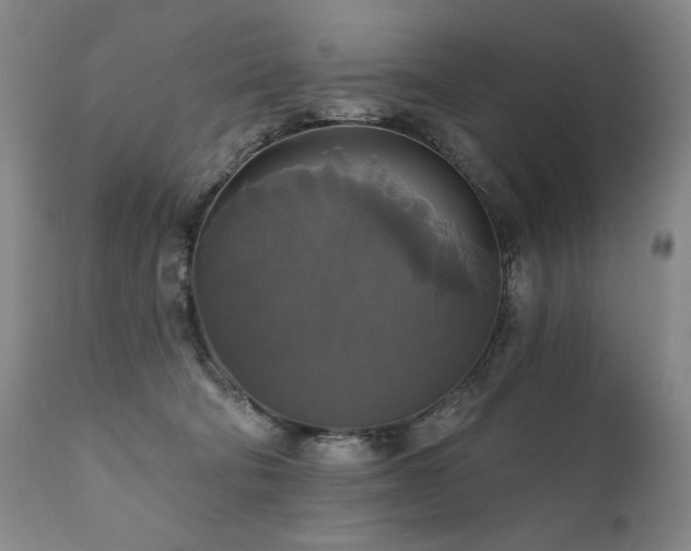 X0000111820322200907231324