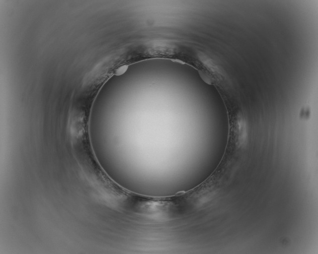 X0000111820323200907231324