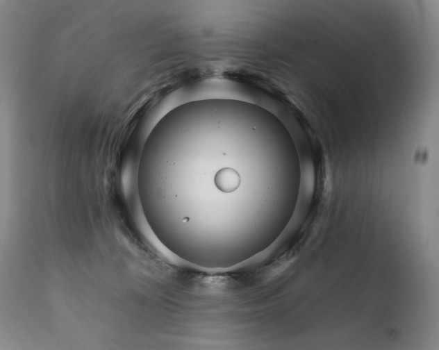 X0000111820324200907231324