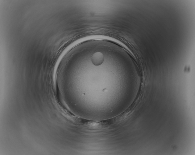 X0000111820325200907231324