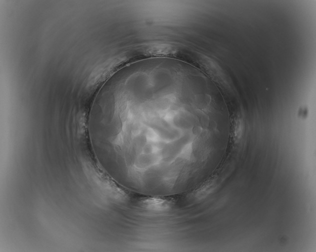 X0000111820326200907231324