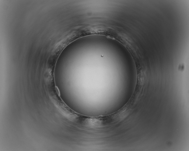 X0000111820327200907231324