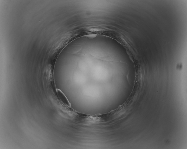 X0000111820328200907231324