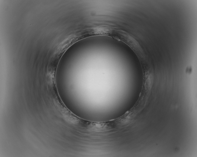 X0000111820329200907231324
