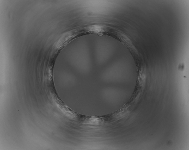 X0000111820330200907231324