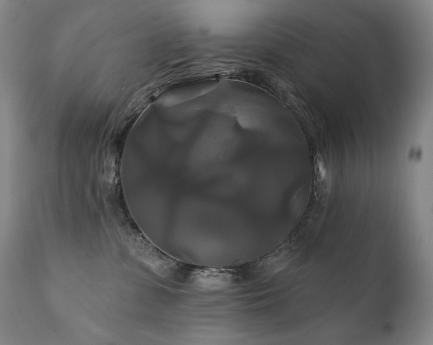 X0000111820331200907231324