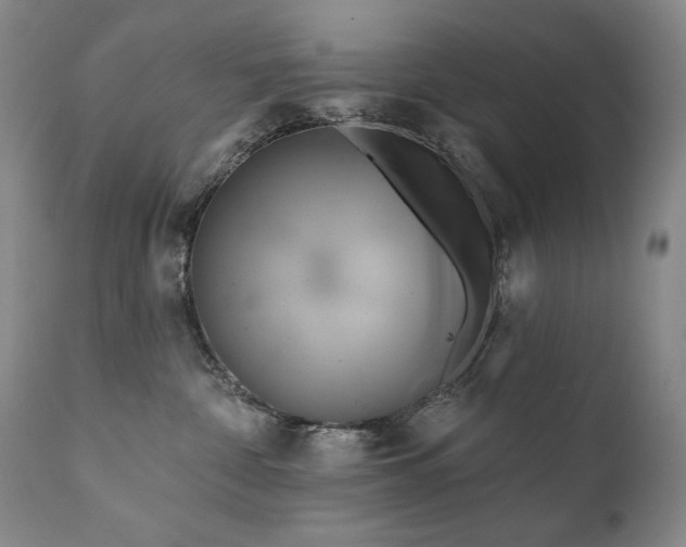 X0000111820332200907231324