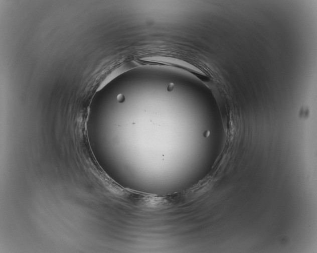 X0000111820333200907231324