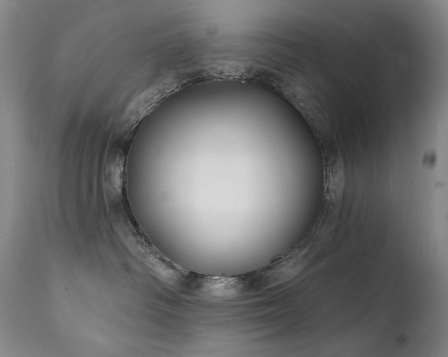 X0000111820334200907231324