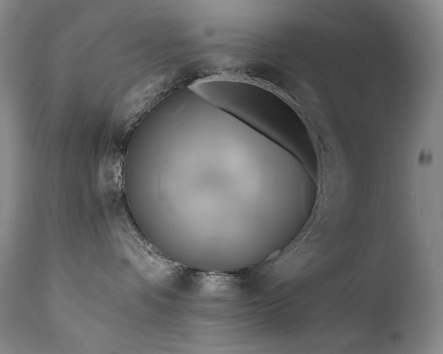 X0000111820336200907231324