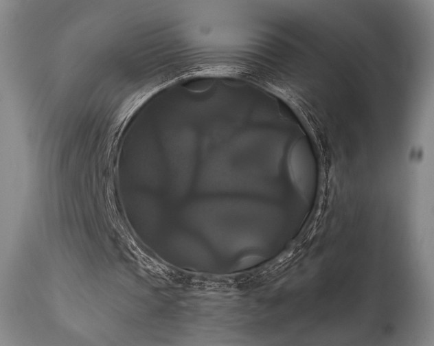 X0000111820337200907231323