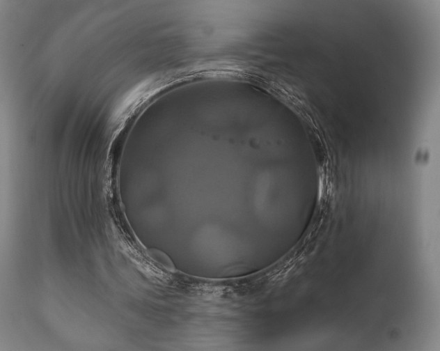 X0000111820339200907231323