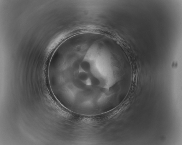X0000111820341200907231323